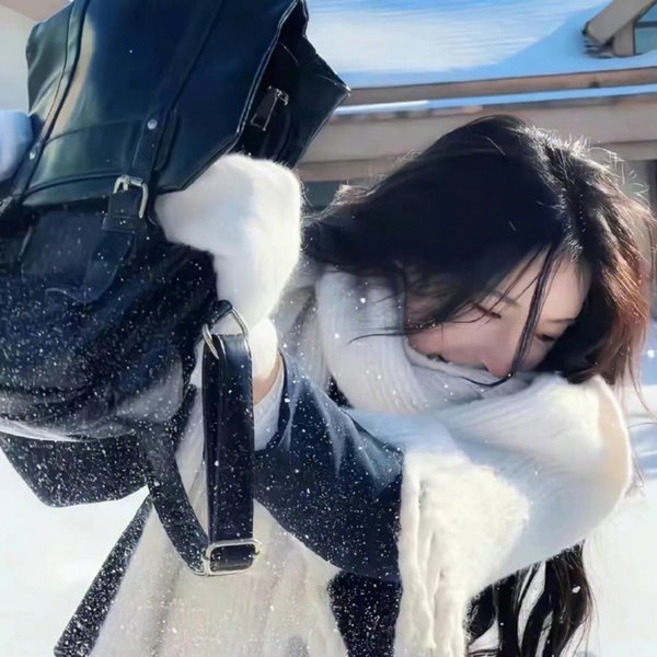 领头羊